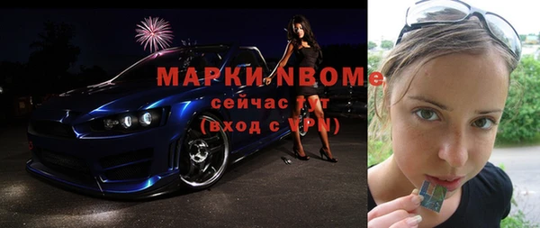 индика Абинск