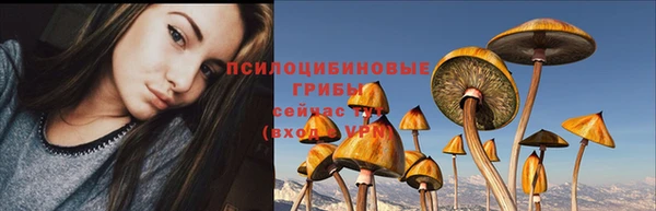 героин Алексин
