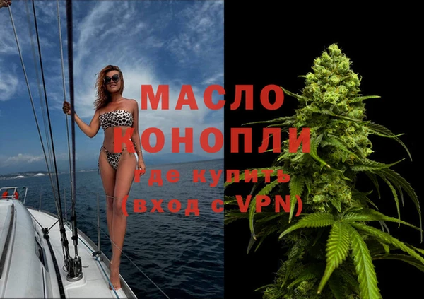 индика Абинск
