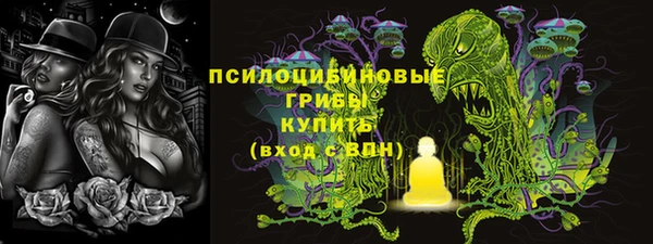 дурь Алексеевка