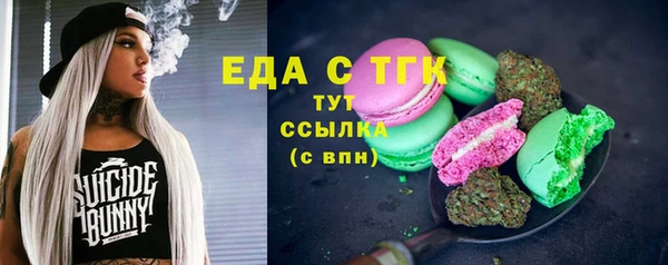 индика Абинск