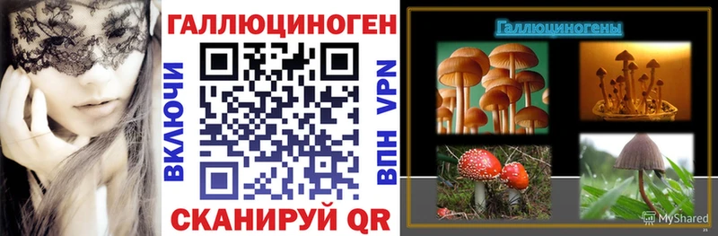 Псилоцибиновые грибы мицелий  Новомичуринск 